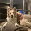 Helen Perrin - @helen.perrin6 - TikTok