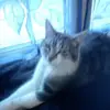 Helene Perrin malio - @helene.perrin.mal - TikTok