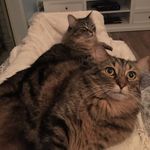 Helen Pettit - @pettitgrammy - Instagram
