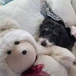 helen pettit - @pettit70 - Instagram