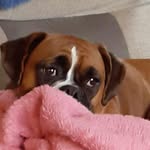 Helen Phipps - @phppshelen - Instagram