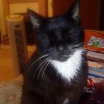 Helen Phipps - @phipps7271 - Instagram