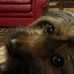 Helen Pickens - Facebook