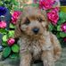 Helen Pickens - Facebook