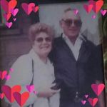 Helen Toggle Pointer - @helen.pointer.715 - Instagram