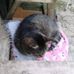 Helen Pollock - Facebook