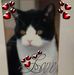 Helen Pollock - Facebook