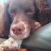Helen Pollock - Facebook