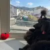 Helen Poon - @helen.poon8 - TikTok