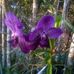 Helen Poulos - Facebook