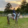 Helen Prather LMT - @heprather - TikTok