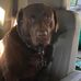 Helen Pridmore - Facebook