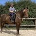 Helen Prentice - Facebook