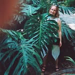 Helen Prentice - @helenj_prentice - Instagram