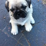 Helen Prideaux - @helenprideaux1953 - Instagram