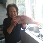 Helen Probert - Facebook