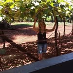 Lucia Helena Procopio - @luciahelena.procopio.169 - Instagram