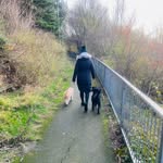 Helen Proctor - @helenproc37 - Instagram