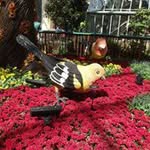 helen prophet - @prophet_helen - Instagram