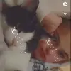 helen - @helen.quick - TikTok