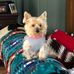 Helen Raby - Facebook