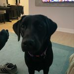 Helen Ramsden - @helen.ramsden.927 - Instagram