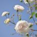 Helen Ramsden - Facebook