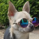 Helen Ramsden - @helen.ramsden.528 - Instagram