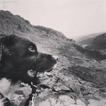 Helen Rawson - @helencrawson - Instagram