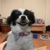 Helen Read - @helen.read - TikTok