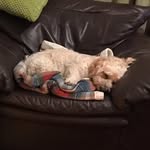 Helen Redmond - @helen.redmond.165 - Instagram