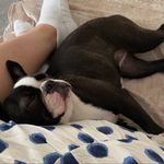Helen Rees - @helen.rees - Instagram