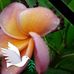 Hellen Rex - Facebook