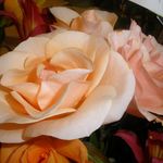 Helen Ricks - @needmycoffee8888 - Instagram
