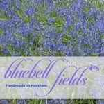 Helen Ringer - @bluebellfields - Instagram