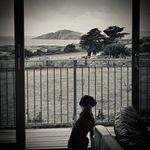 Helen Roach - @helenroach4 - Instagram