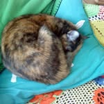 Helen Robb - @helen.robb.71 - Instagram