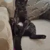 helenrobb4 - @helenrobb4 - TikTok