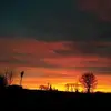 helenrobb8 - @helenrobb8 - TikTok
