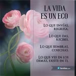 Helen Rosas - @helenrosas6614 - Instagram