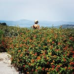 @helenruffes - Instagram