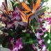 Helen Sachs - Facebook
