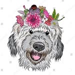 Helen Sample - @helens_happy_hounds - Instagram