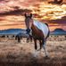 Helen Satterfield - Facebook