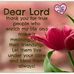 Helen Schaffer - Facebook