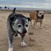 Helen Schofield - Facebook