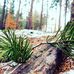 Helen Schumann - Facebook