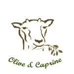 Helen Schuster - @oliveandcaprine - Instagram