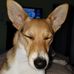 Helen Scully Loughney - Facebook