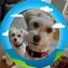 Helen Davis Seals - @helen.davis.seals - TikTok
